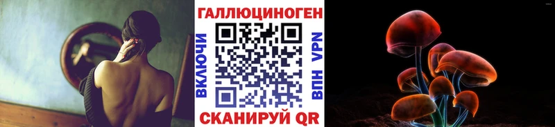 Псилоцибиновые грибы Psilocybe Сочи