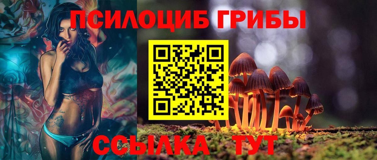 Псилоцибиновые грибы мухоморы Сочи