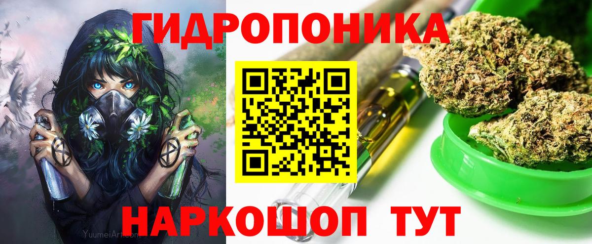 Шишки марихуана семена Сочи